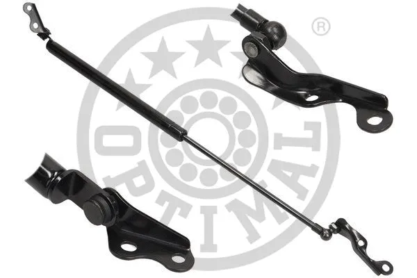 Gas Spring, boot/cargo area (AG-39993)