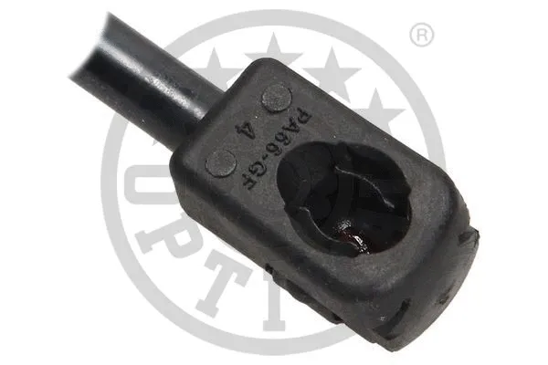 Gas Spring, boot/cargo area