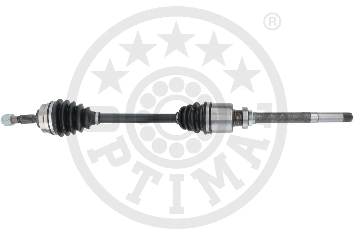 Drive Shaft (DS-3861)