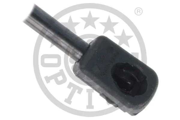 Gas Spring, boot/cargo area