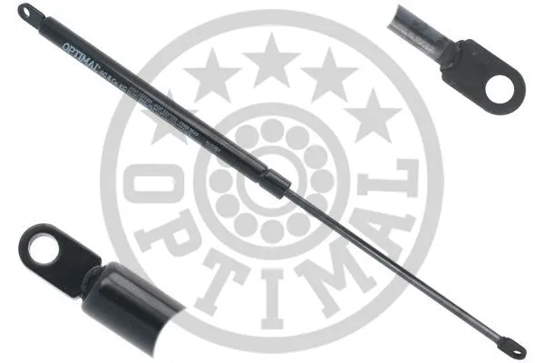 Gas Spring, boot/cargo area (AG-50559)
