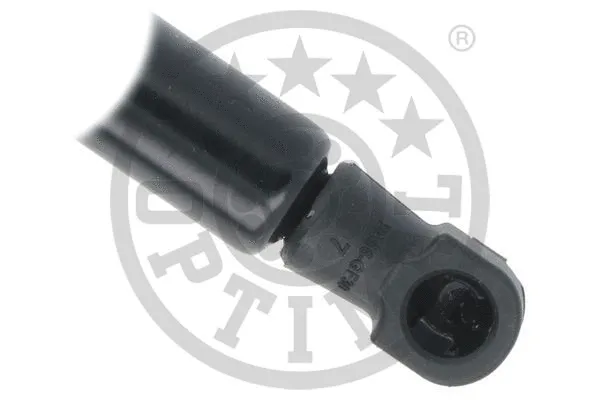 Gas Spring, boot/cargo area