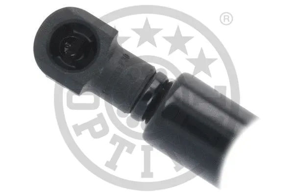 Gas Spring, boot/cargo area