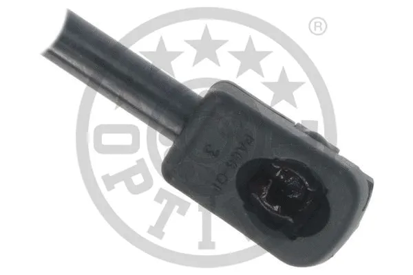 Gas Spring, boot/cargo area