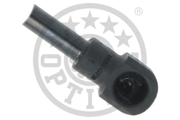 Gas Spring, boot/cargo area