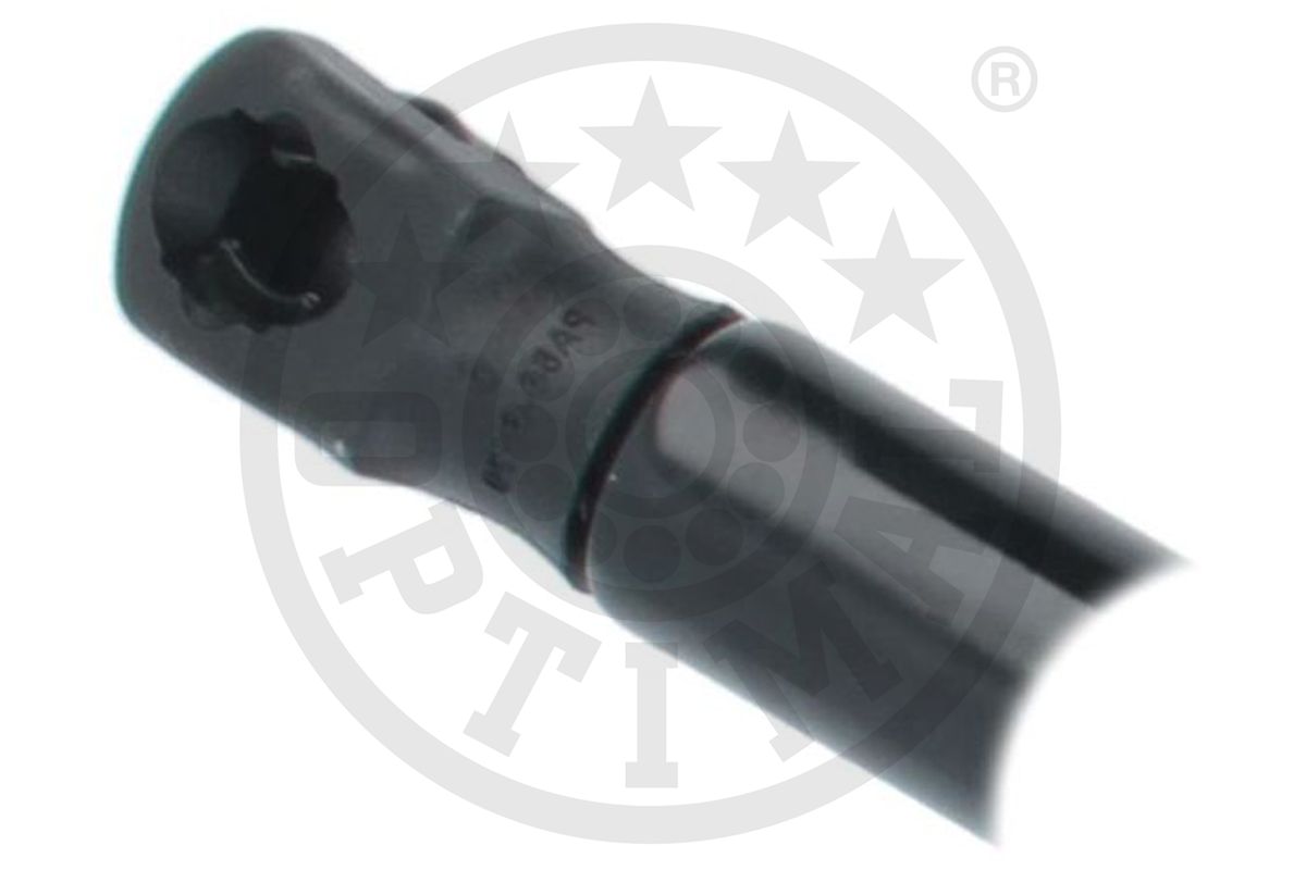 Gas Spring, boot/cargo area