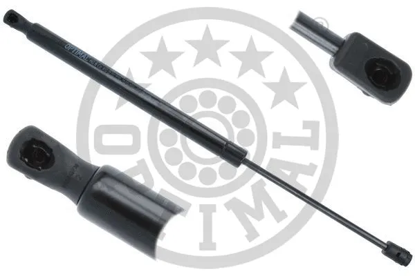 Gas Spring, boot/cargo area (AG-51359)