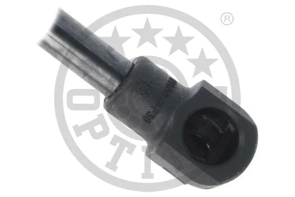 Gas Spring, boot/cargo area