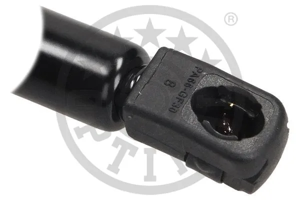 Gas Spring, boot/cargo area
