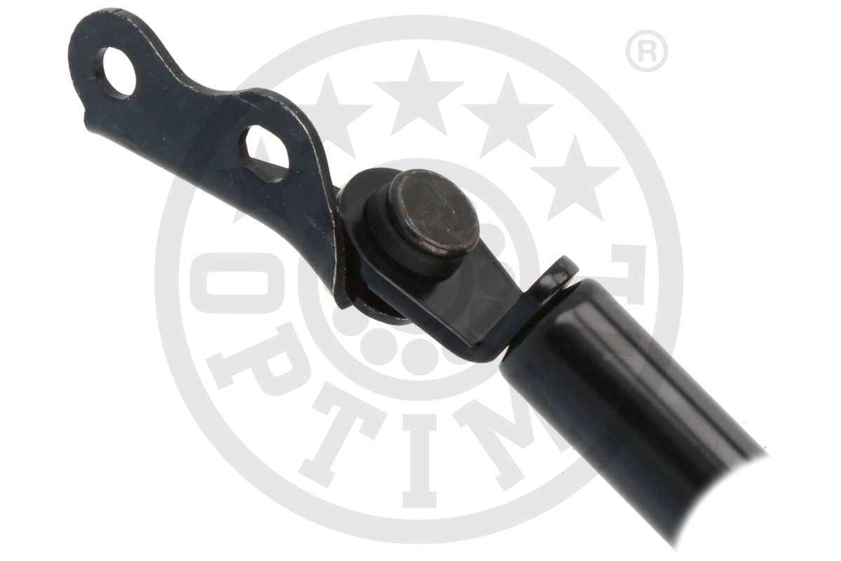 Gas Spring, boot/cargo area