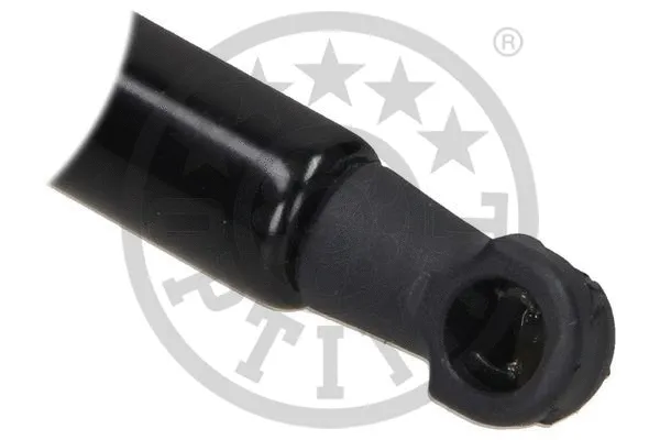 Gas Spring, boot/cargo area