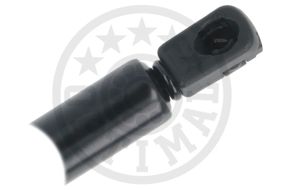 Gas Spring, boot/cargo area