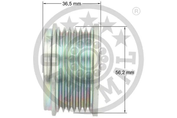 Alternator Freewheel Clutch