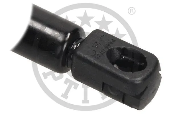 Gas Spring, boot/cargo area