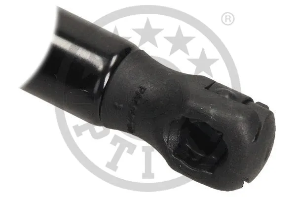 Gas Spring, bonnet