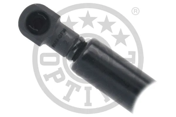 Gas Spring, boot/cargo area