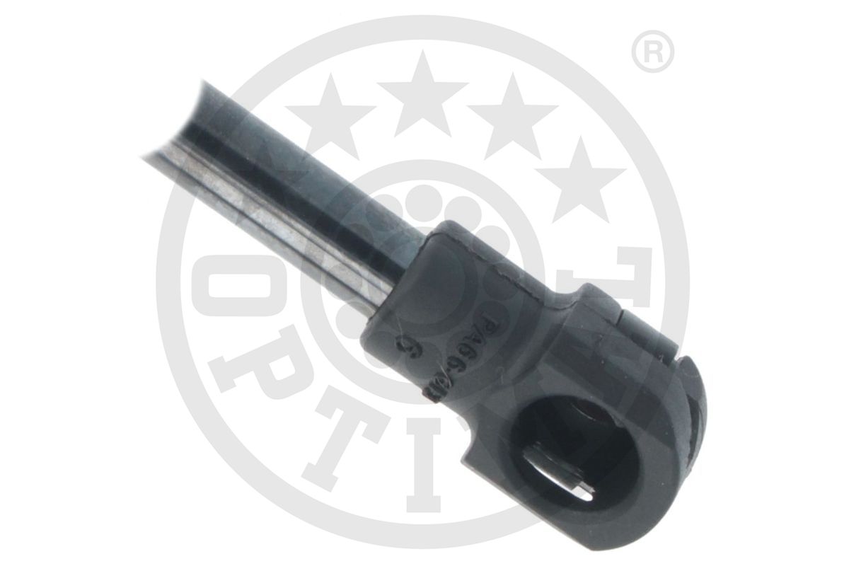 Gas Spring, boot/cargo area
