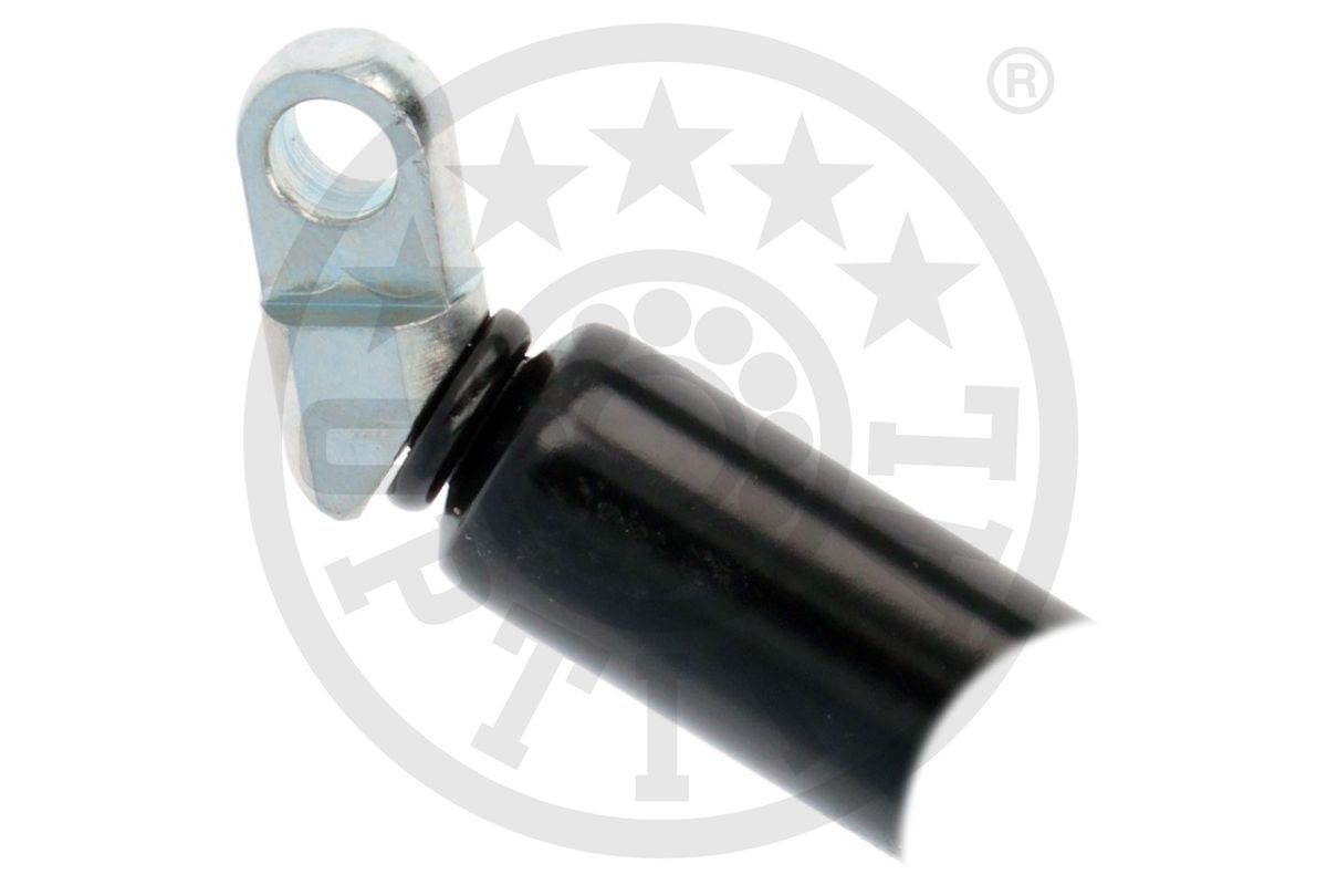Gas Spring, boot/cargo area