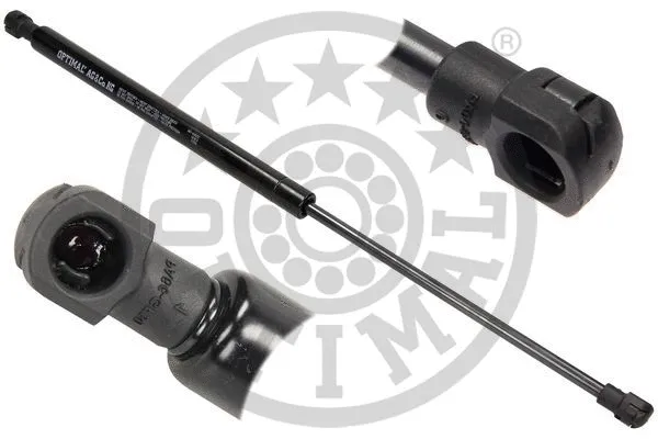Gas Spring, boot/cargo area (AG-40892)