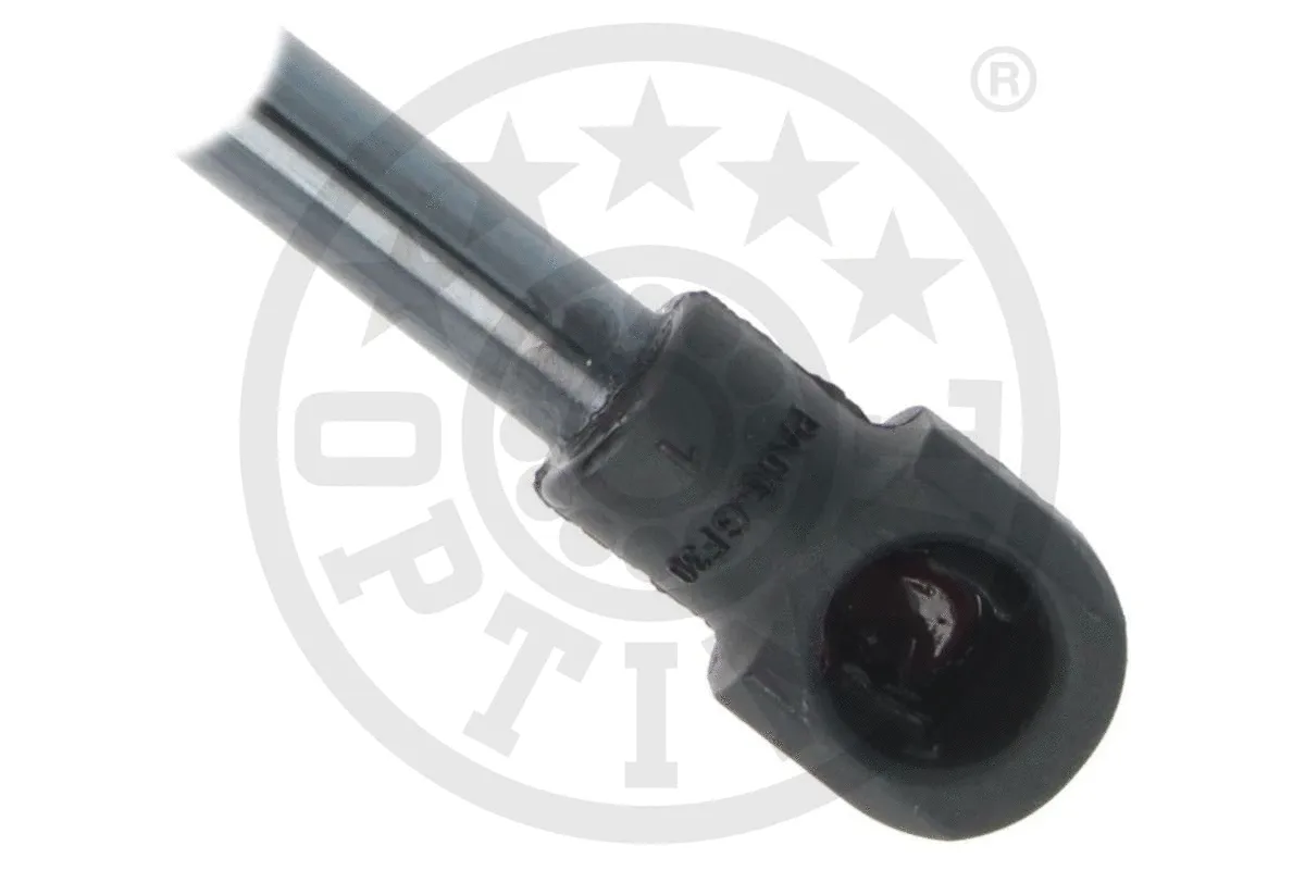 Gas Spring, boot/cargo area