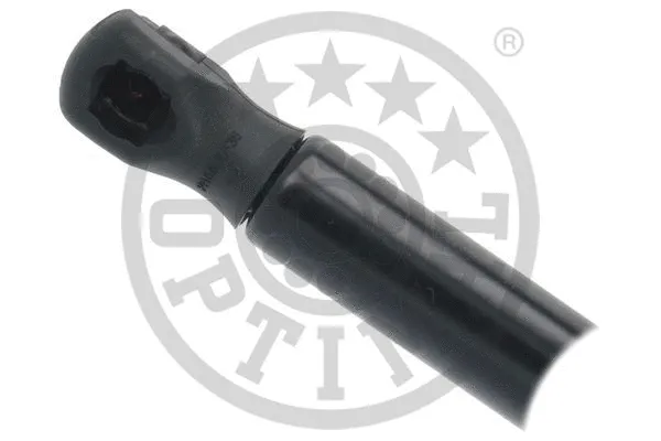 Gas Spring, boot/cargo area