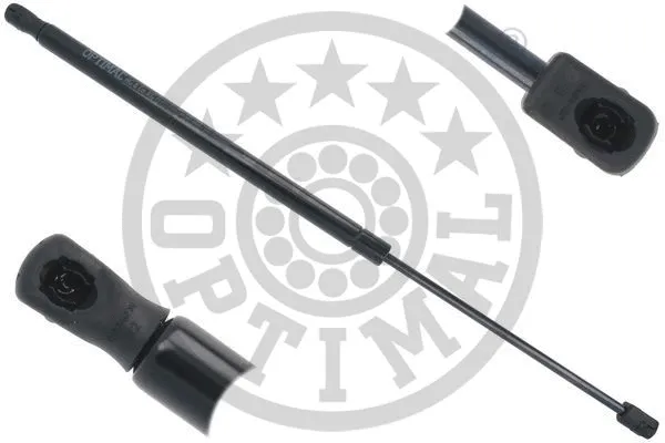 Gas Spring, boot/cargo area (AG-52199)