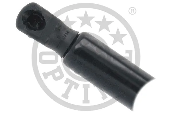 Gas Spring, boot/cargo area