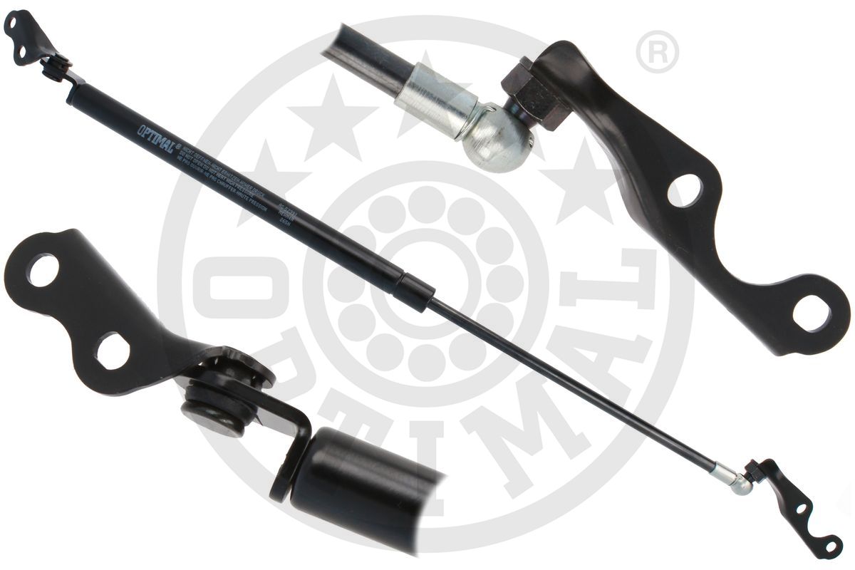 Gas Spring, boot/cargo area (AG-52391)