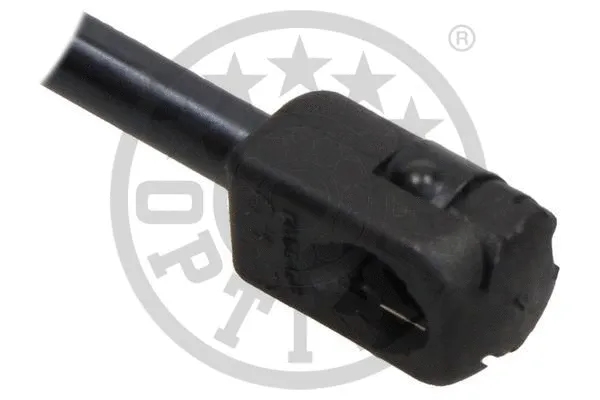 Gas Spring, boot/cargo area