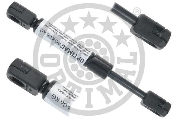 Gas Spring, boot/cargo area (AG-50439)
