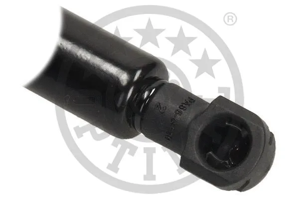 Gas Spring, boot/cargo area