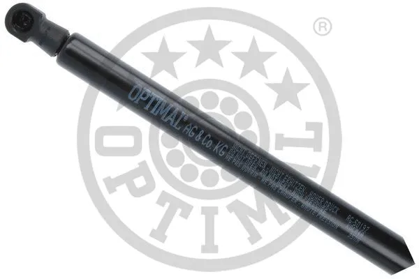 Gas Spring, boot/cargo area