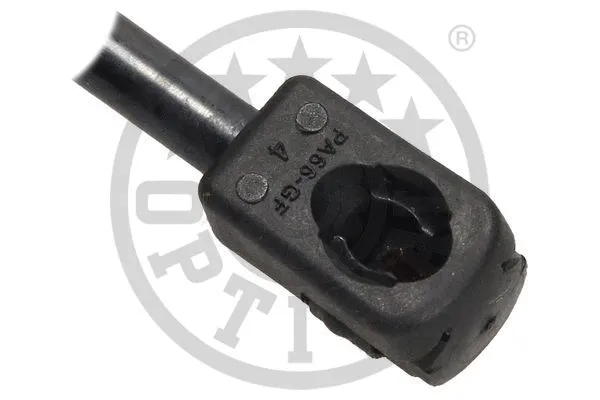 Gas Spring, boot/cargo area