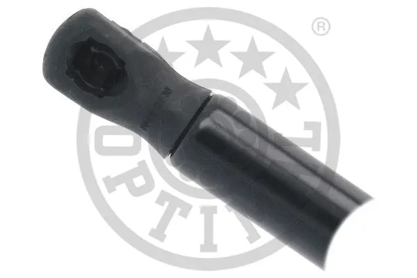 Gas Spring, boot/cargo area