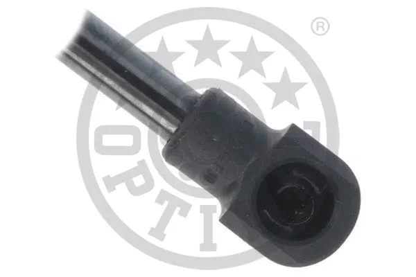 Gas Spring, boot/cargo area