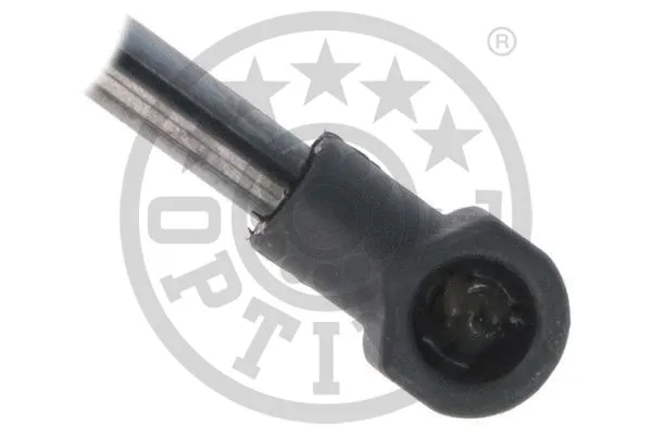 Gas Spring, boot/cargo area