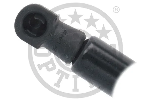 Gas Spring, boot/cargo area