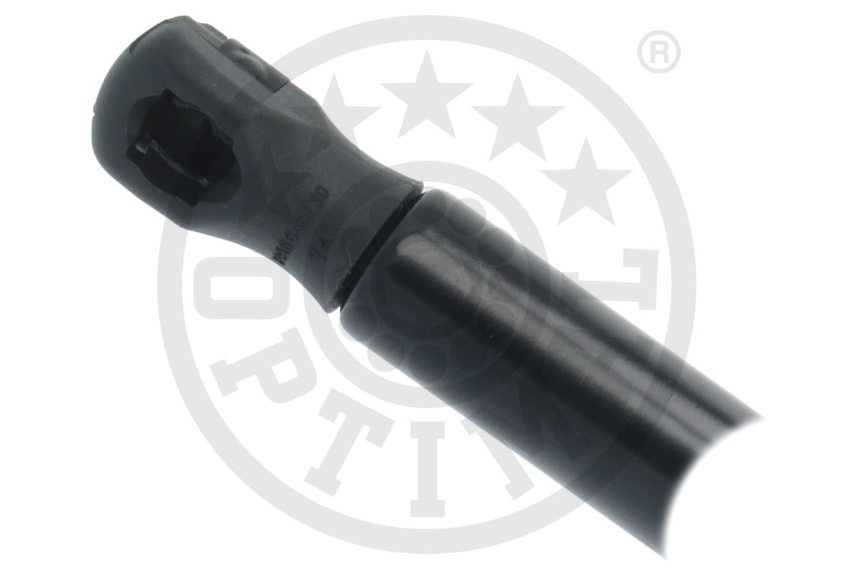Gas Spring, boot/cargo area