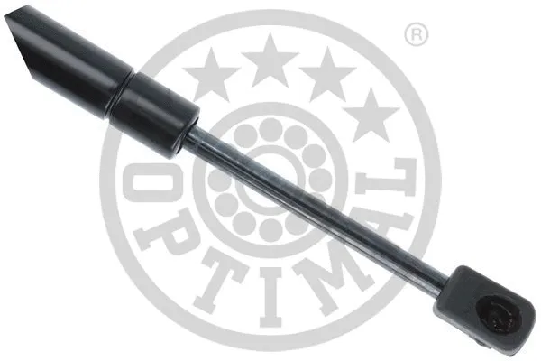 Gas Spring, boot/cargo area