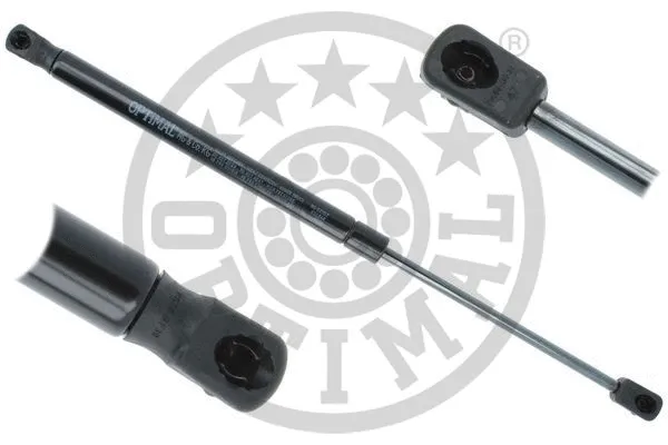 Gas Spring, boot/cargo area (AG-52352)