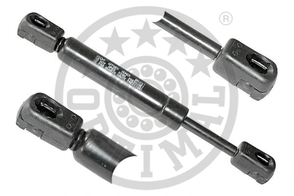 Gas Spring, boot/cargo area (AG-39017)