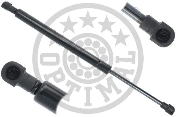 Gas Spring, boot/cargo area (AG-51876)