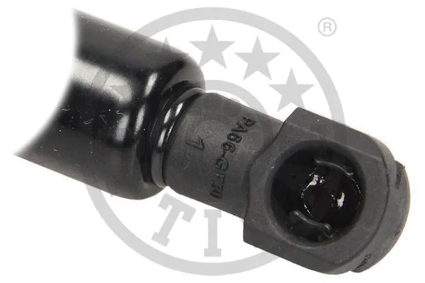 Gas Spring, boot/cargo area