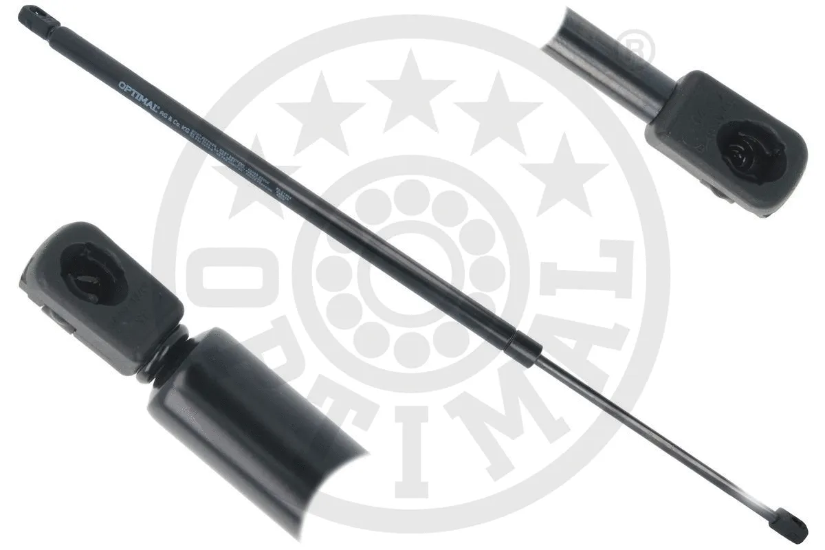 Gas Spring, boot/cargo area (AG-51902)