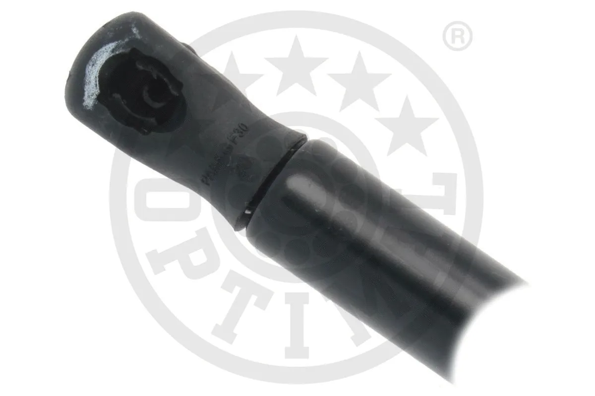 Gas Spring, boot/cargo area