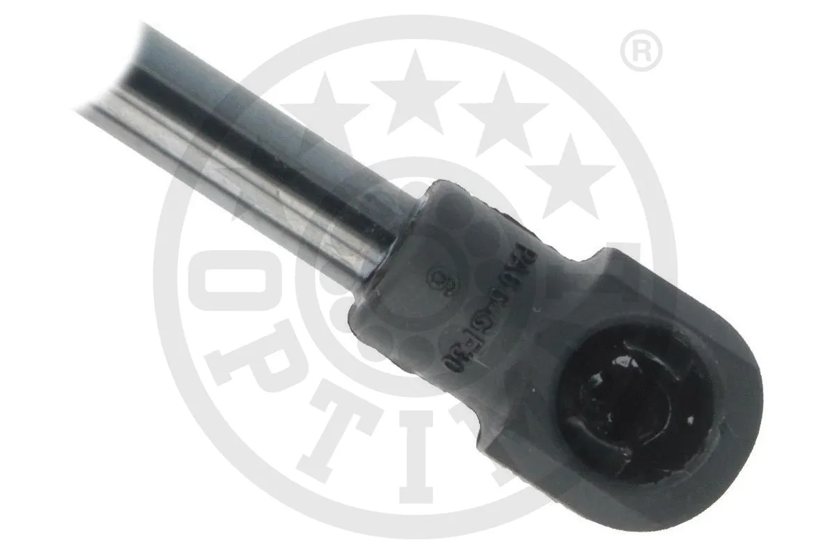 Gas Spring, boot/cargo area