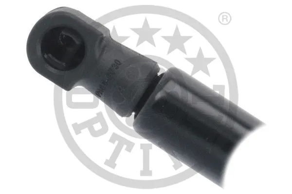 Gas Spring, boot/cargo area
