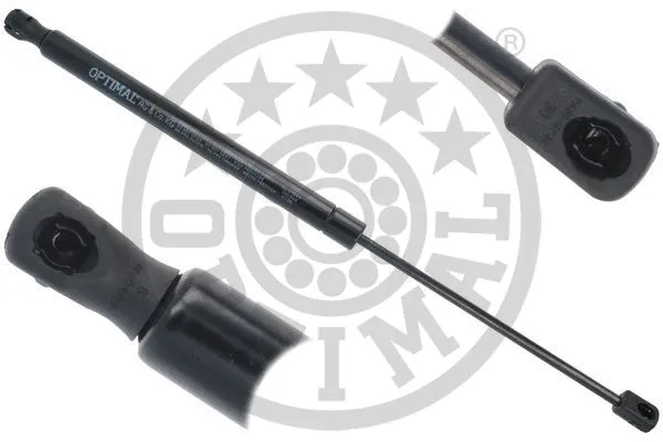 Gas Spring, boot/cargo area (AG-51544)