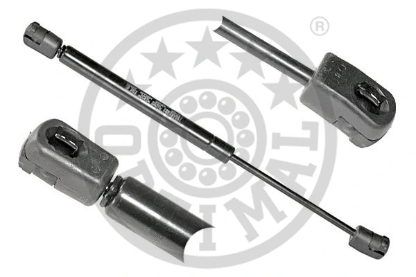 Gas Spring, boot/cargo area (AG-39022)