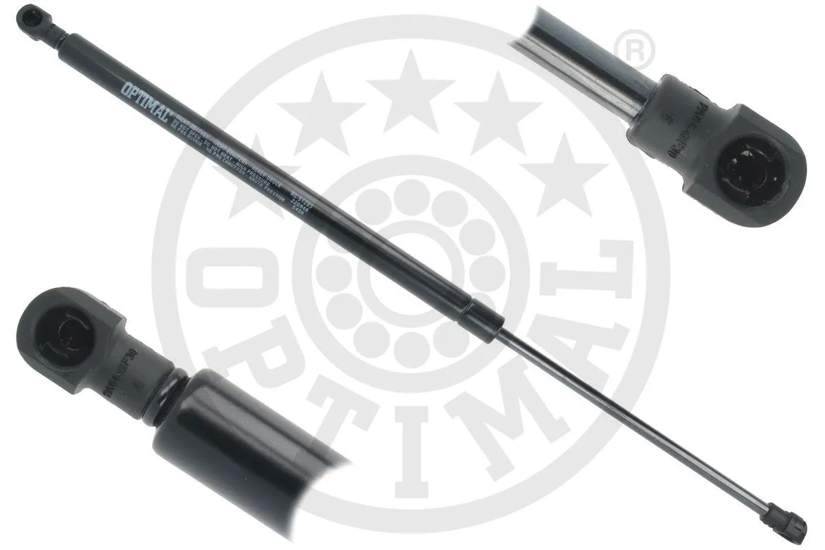 Gas Spring, boot/cargo area (AG-51283)
